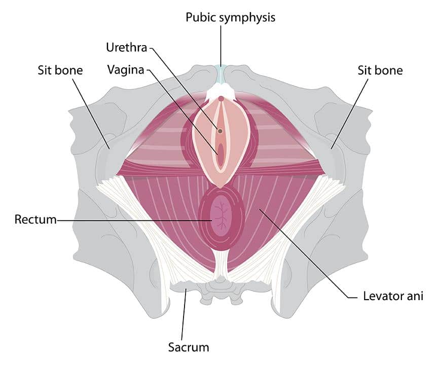 what is vaginal rejuvenation
