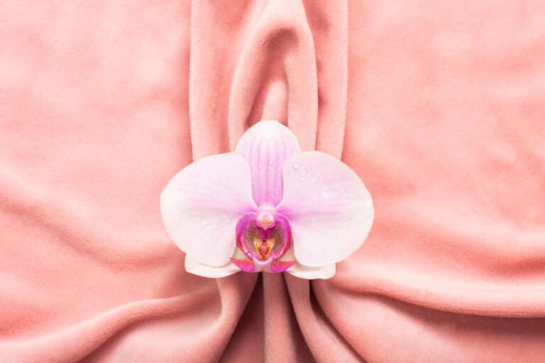 7 Misconceptions About Vagilan Rejuvenation